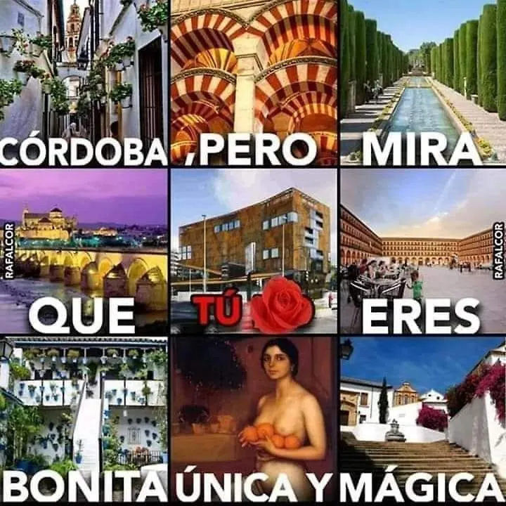 Grupo Limcotel Perla 1 Cordoba