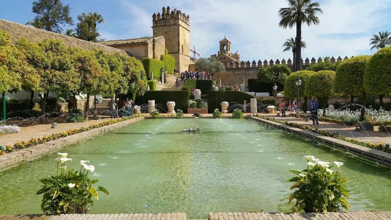 Grupo Limcotel Perla 1 Cordoba